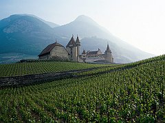 Swiss Countryside